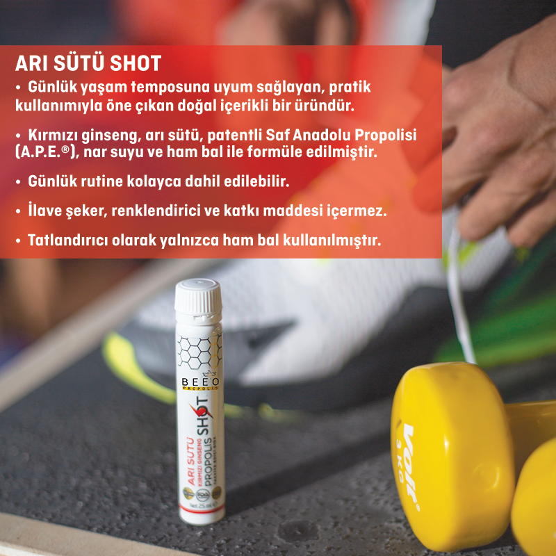 arı sütü shot