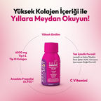 BEEO Kolajen Shot 12'li