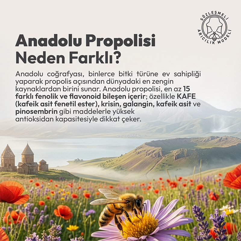 BEEO Suda Çözünebilir Propolis Damla
