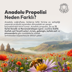 BEEO Suda Çözünebilir Propolis Damla