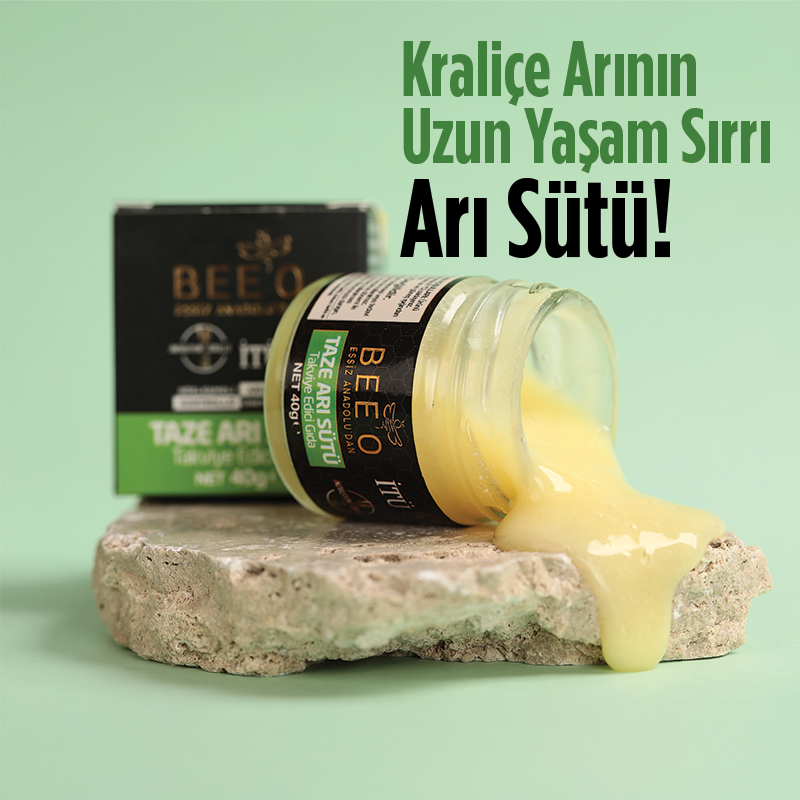 taze arı sütü